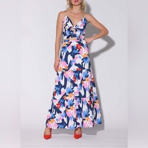 Walter Baker Bonita Floral Print Multicolor Maxi Skirt Size Large NWT